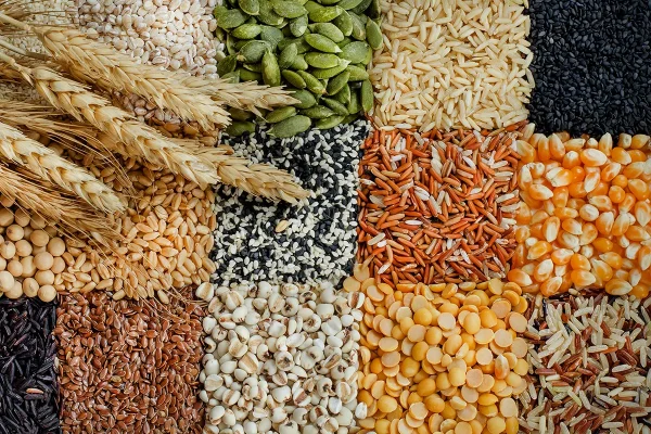 grains